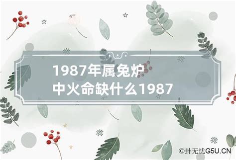 1987兔五行|87年属兔五行